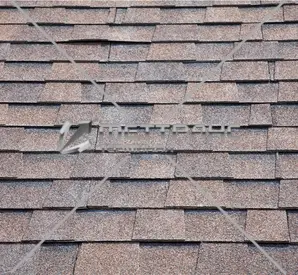 Мягкая кровля Шинглас Ранчо в Минске